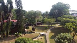 mimosa-park photo thumbnail #5